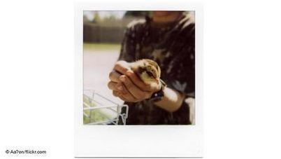 пленка пленка