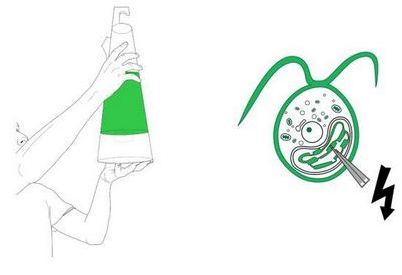 фотосинтез