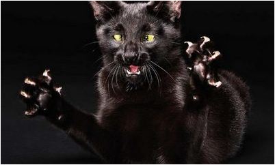 Винницкой области