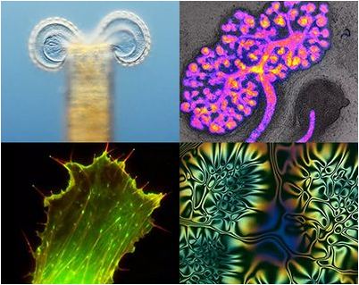 Направьте внимание Направьте внимание