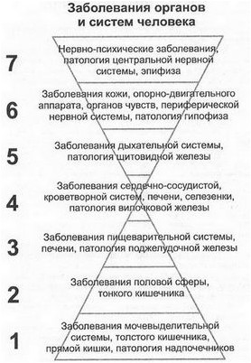 исследование исследование