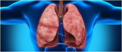 PLoS вычислительная биология