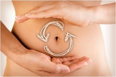 метаболизм метаболизм