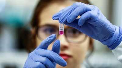 Исследование вакцины на животных дает представление, которое может продвинуть вперед исследования вакцины против ВИЧ