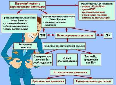 Продукты, богатые глютеном, усиливают симптомы функциональной диспепсии