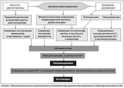 Обнаружена новая связь между остеопорозом и целиакией