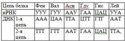 Бонанза данных геномной последовательности дает исследователям новые ценные сведения о плохо изученном раке
