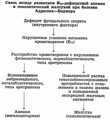 Исследования показывают, что редкая причина анемии у новорожденных часто упускается из виду Исследования показывают, что редкая причина анемии у новорожденных часто упускается из виду