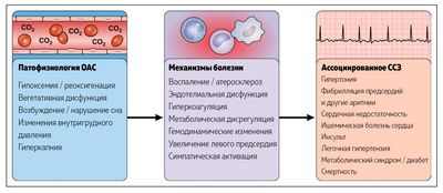 Продолжительность нарушения дыхания при СОАС может быть лучшим показателем риска смерти