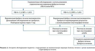 Показано, что низкоуглеводная диета улучшает профиль кардиометаболического риска