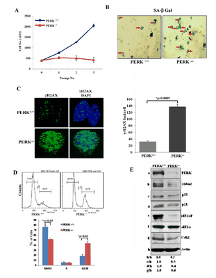 Исследования позволяют по-новому взглянуть на причины диабета