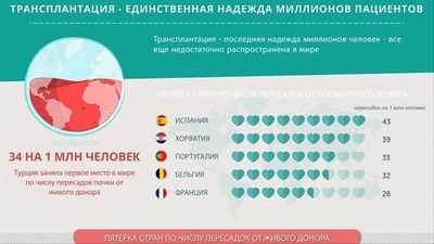 Трансплантация органов: почему так много людей откладывают донорство Трансплантация органов: почему так много людей откладывают донорство